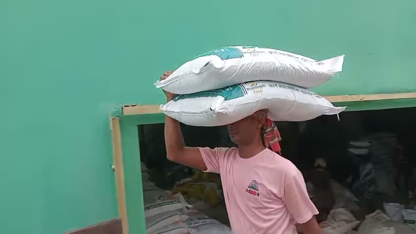 Feed handling &amp; delivery