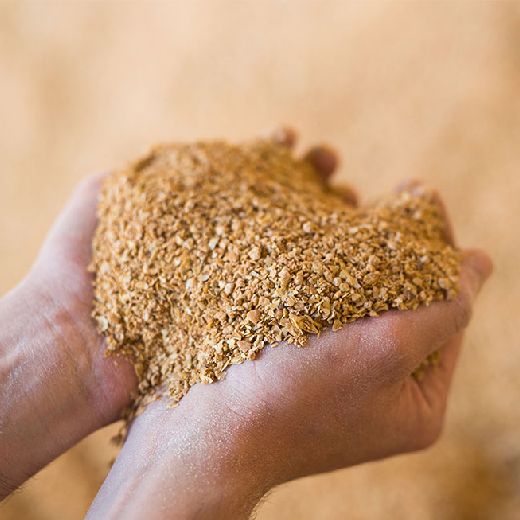 Soybean Meal